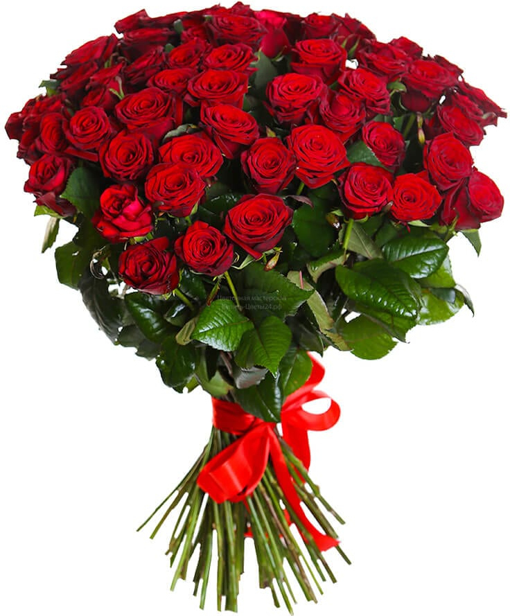 Розы Россия красные Розы Россия красные